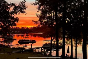 192 Palm St, Chapin, SC 29036 - Photo 46