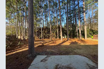 153 Whitwood Circle, Columbia, SC 29212 - Photo 6