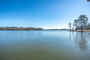 1059 Rebecca Dr, Leesville, SC 29070 - Photo 62