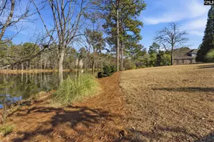 65 Nut Hatch Ct, Columbia, SC 29223 - Photo 50