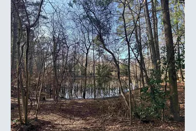 162 Baskin Hills Road, Lexington, SC 29072 - Photo 48