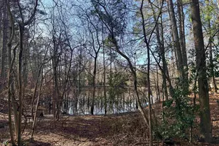 162 Baskin Hills Rd, Lexington, SC 29072 - Photo 48