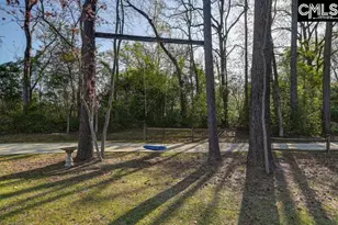 162 Baskin Hills Rd, Lexington, SC 29072 - Photo 12