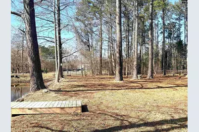 162 Baskin Hills Road, Lexington, SC 29072 - Photo 46