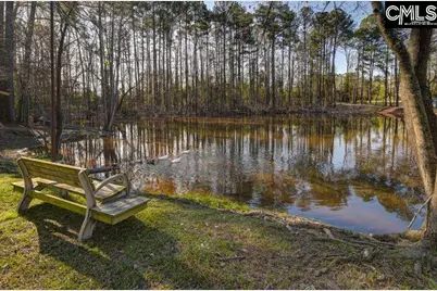 162 Baskin Hills Road, Lexington, SC 29072 - Photo 18
