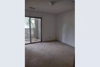 1005 Village Creek Drive, Columbia, SC 29210 - Photo 4