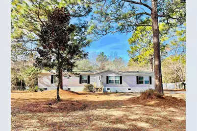 491 Sandy Springs Lane, Lexington, SC 29073 - Photo 4