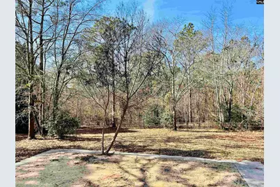 491 Sandy Springs Lane, Lexington, SC 29073 - Photo 52