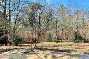 491 Sandy Springs Ln, Lexington, SC 29073 - Photo 52