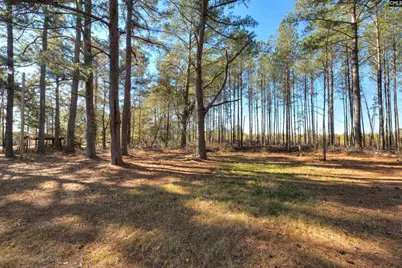 8107 Black River Road, Rembert, SC 29128 - Photo 6