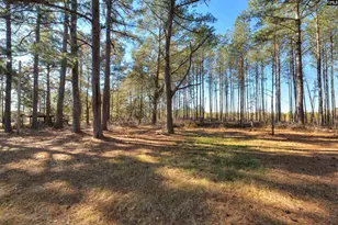 8107 Black River Rd, Rembert, SC 29128 - Photo 6