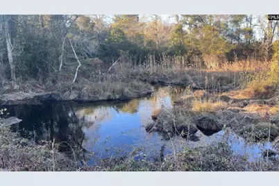 Tbd Millers Pond Road, Wagener, SC 29801 - Photo 2