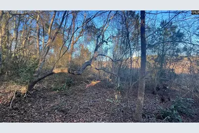Tbd Millers Pond Road, Wagener, SC 29801 - Photo 8