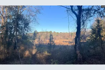 Tbd Millers Pond Road, Wagener, SC 29801 - Photo 6