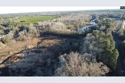 Tbd Millers Pond Road, Wagener, SC 29801 - Photo 16