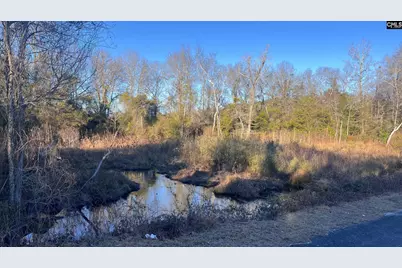 Tbd Millers Pond Road, Wagener, SC 29801 - Photo 12