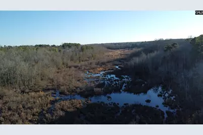 Tbd Millers Pond Road, Wagener, SC 29801 - Photo 18