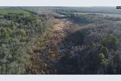 Tbd Millers Pond Road, Wagener, SC 29801 - Photo 4