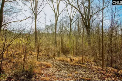 561 Church Road, Batesburg, SC 29006 - Photo 14