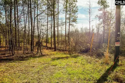 561 Church Road, Batesburg, SC 29006 - Photo 4