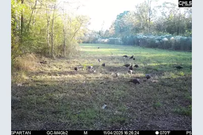 561 Church Road, Batesburg, SC 29006 - Photo 6