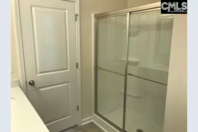 1028 Bergenfield Lane, Chapin, SC 29036 - Photo 8