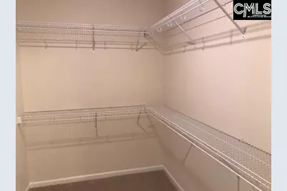 1028 Bergenfield Lane, Chapin, SC 29036 - Photo 10