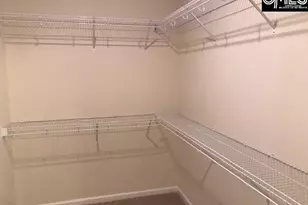 1028 Bergenfield Ln, Chapin, SC 29036 - Photo 10