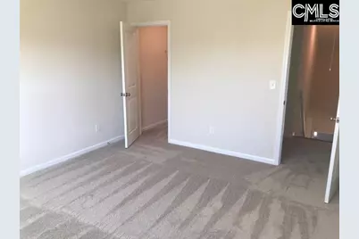 1028 Bergenfield Lane, Chapin, SC 29036 - Photo 6
