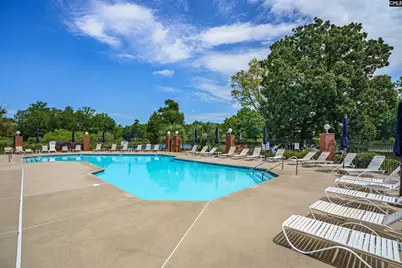 812 Village Well Court, Chapin, SC 29036 - Photo 42
