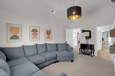 812 Village Well Court, Chapin, SC 29036 - Photo 24