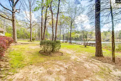 325 Derrick Lane, Blythewood, SC 29016 - Photo 36