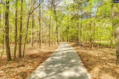 325 Derrick Lane, Blythewood, SC 29016 - Photo 6