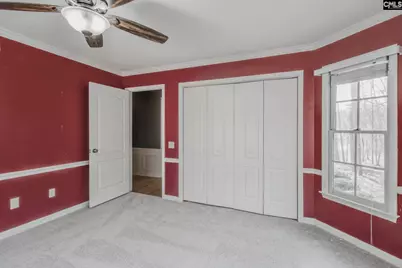 325 Derrick Lane, Blythewood, SC 29016 - Photo 30