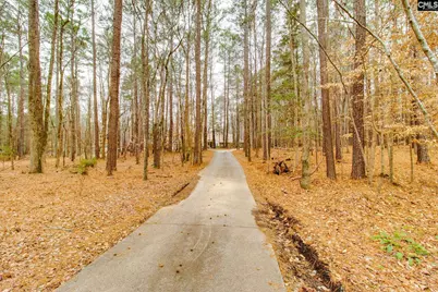 325 Derrick Lane, Blythewood, SC 29016 - Photo 6