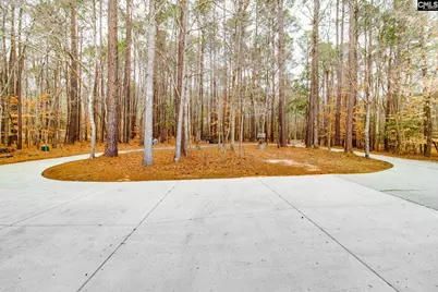 325 Derrick Lane, Blythewood, SC 29016 - Photo 4