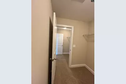 60 Fork Branch Court, Irmo, SC 29063 - Photo 46