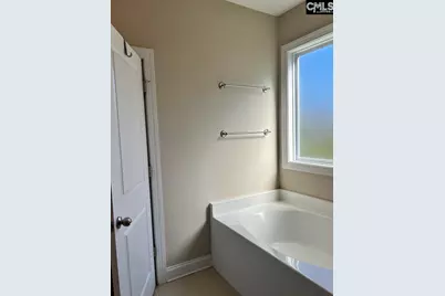 60 Fork Branch Court, Irmo, SC 29063 - Photo 36