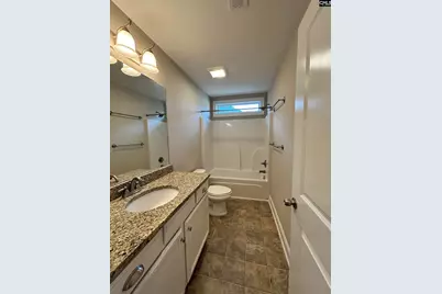 60 Fork Branch Court, Irmo, SC 29063 - Photo 52