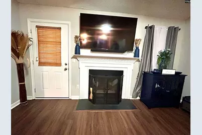 219 Walnut Grove Circle, Irmo, SC 29063 - Photo 14