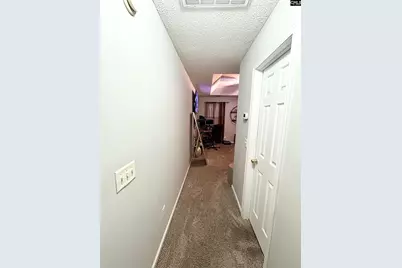 219 Walnut Grove Circle, Irmo, SC 29063 - Photo 20