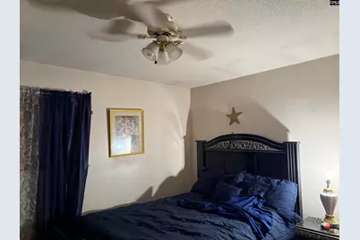 345 Marion Street, Batesburg, SC 29006 - Photo 8