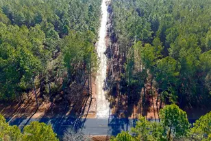 1379 Cheraw Rd, Cassatt, SC 29032 - Photo 32