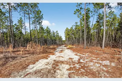 1379 Cheraw Road, Cassatt, SC 29032 - Photo 2