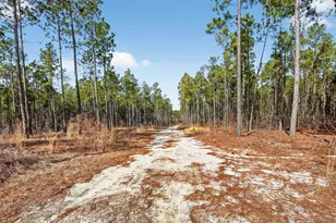 1379 Cheraw Rd, Cassatt, SC 29032 - Photo 2