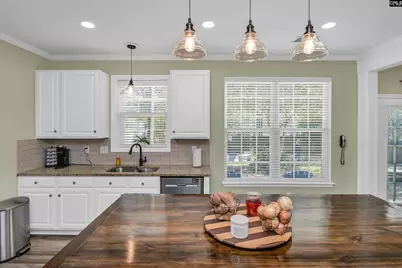 116 Torrisdale Drive, Lexington, SC 29073 - Photo 38