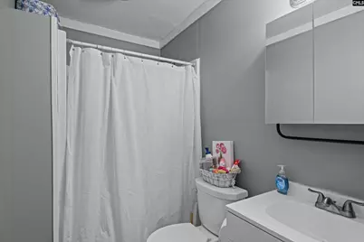 249 Teesdale Court, Lexington, SC 29072 - Photo 28