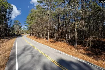 0000 Steele Road, West Columbia, SC 29170 - Photo 8