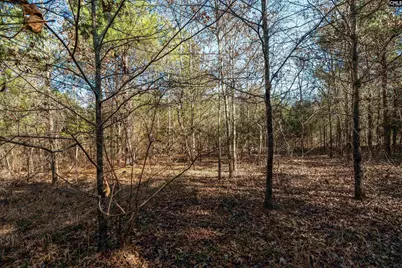 00 S Hwy 81 1, Calhoun Falls, SC 29628 - Photo 26