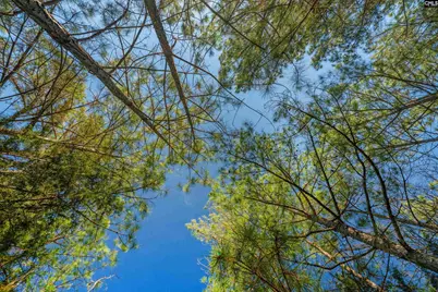 000 S Hwy 81 4, Calhoun Falls, SC 29628 - Photo 28